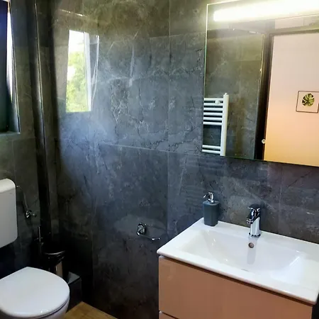 Kwatera prywatna Casa Darius *