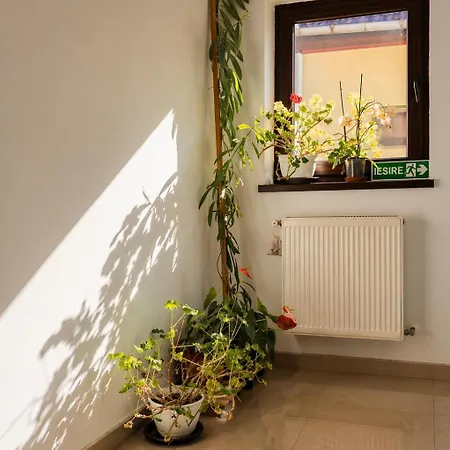 Casa Darius Cluj-Napoca