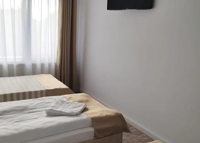 Casa Darius ホームステイ クルージュ＝ナポカ